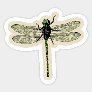 Dragonfly Sticker